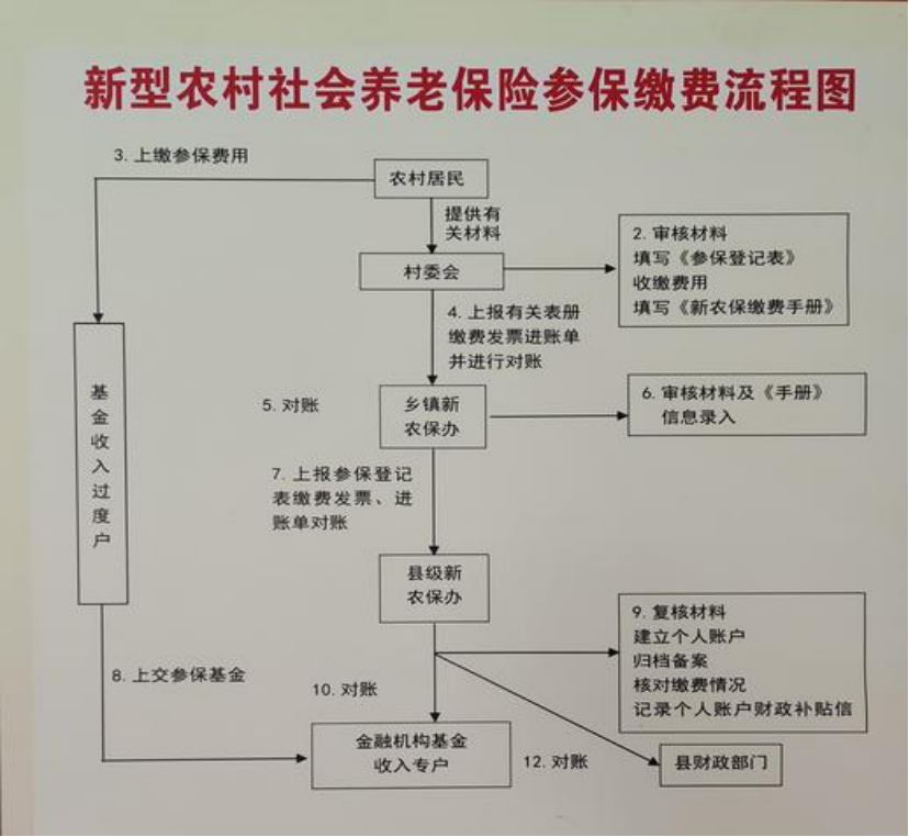海口农村医保和社保有什么区别(农村医保跟社保的区别)